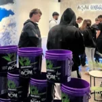 De acordo com os dados levantados mensalmente pelo Nuplan da Sedap, entre janeiro e agosto, foram embarcadas cerca de 13,6 mil toneladas da fruta - foto/Agência Pará